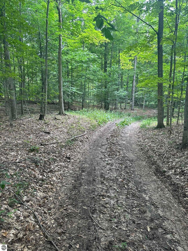 11599 S Tower Rd, Kasson Township, MI 49664 - photo 5