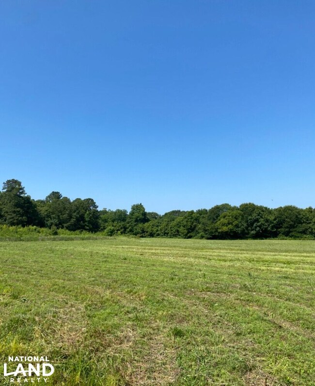 Highway 145, Columbiana, AL 35051 - photo 5