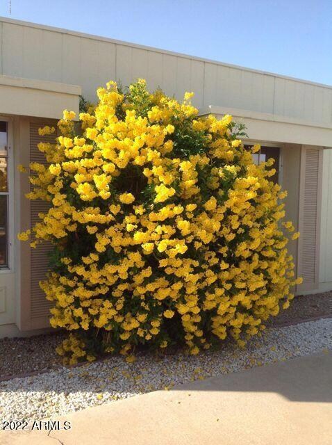 17255 N 106th Ave, Sun City, AZ 85373 - photo 2