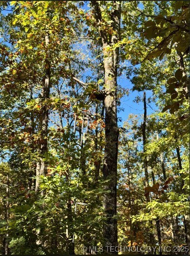 6620 N Starr Ridge Rd, Proctor, OK 74457 - photo 6