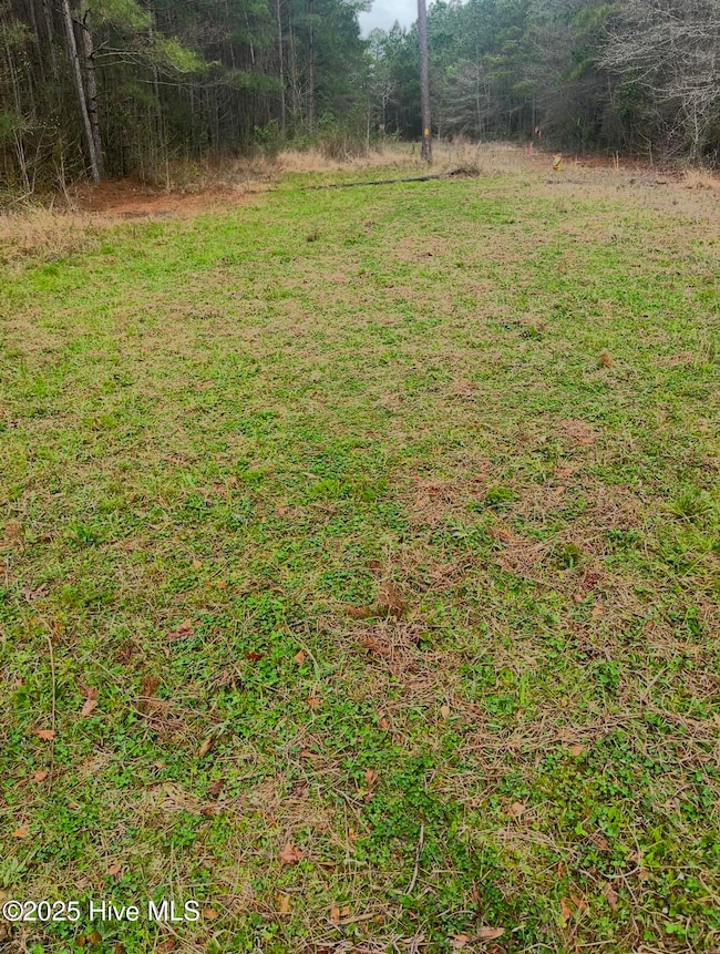 0 Shiloh Rd unit 100518868, Willard, NC 28478 - photo 4