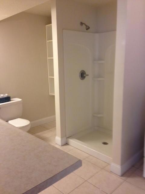 Lower level bathroom