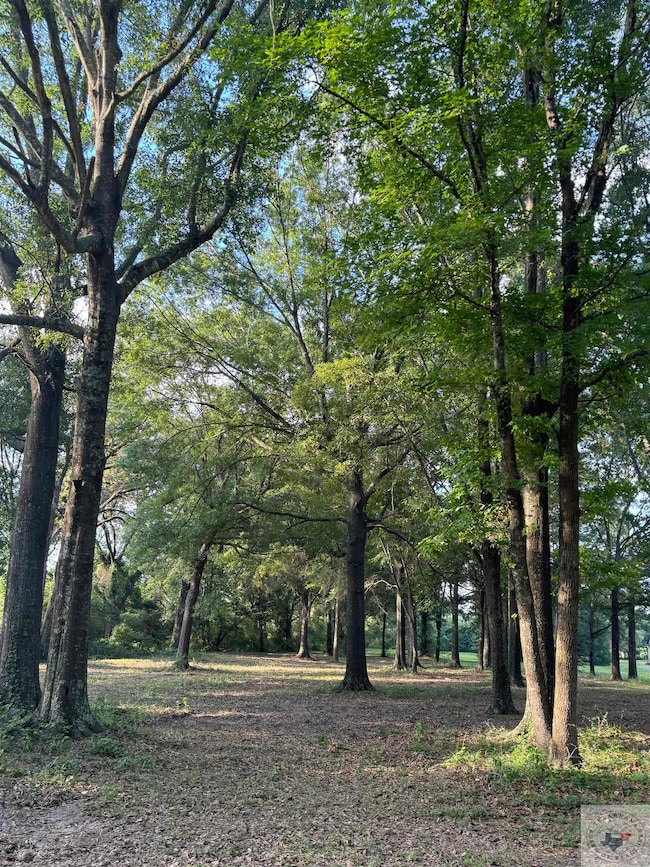 1.4 Acres Quail Creek Cir, Fouke, AR 71837 - photo 7