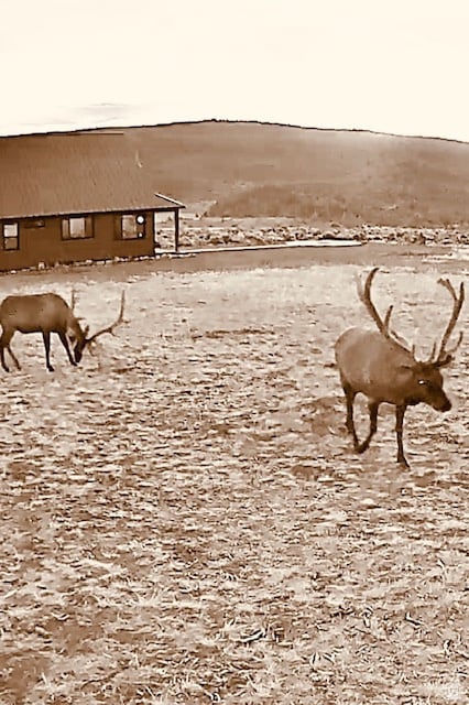 15674 E 18800 N Gadson Draw Rd unit 67, Vernal, UT 84078 - photo 4