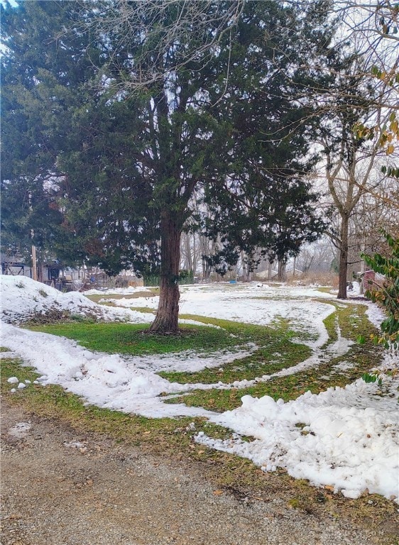 4620 82 1/2 x 161 Nelson St, Jamestown Vlg, OH 45335 - photo 4