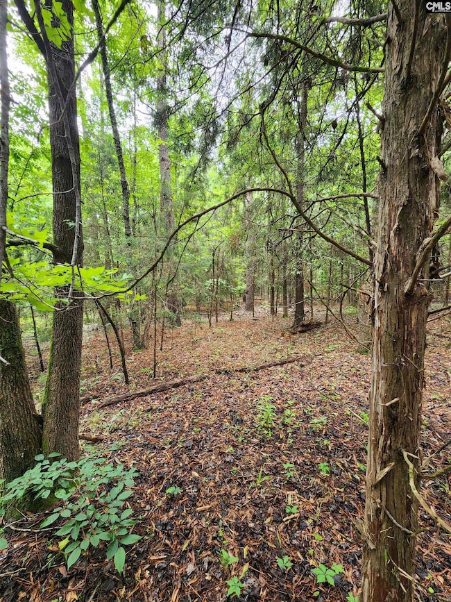 0 Elm St, Prosperity, SC 29127 - photo 6