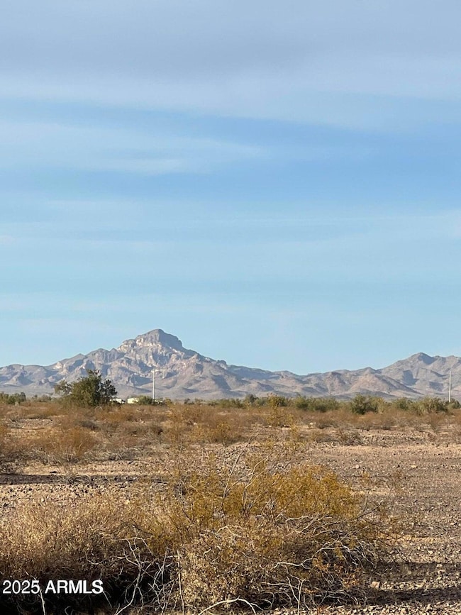 0 W 435th & Maryland Ave unit 14, Tonopah, AZ 85354 - photo 3