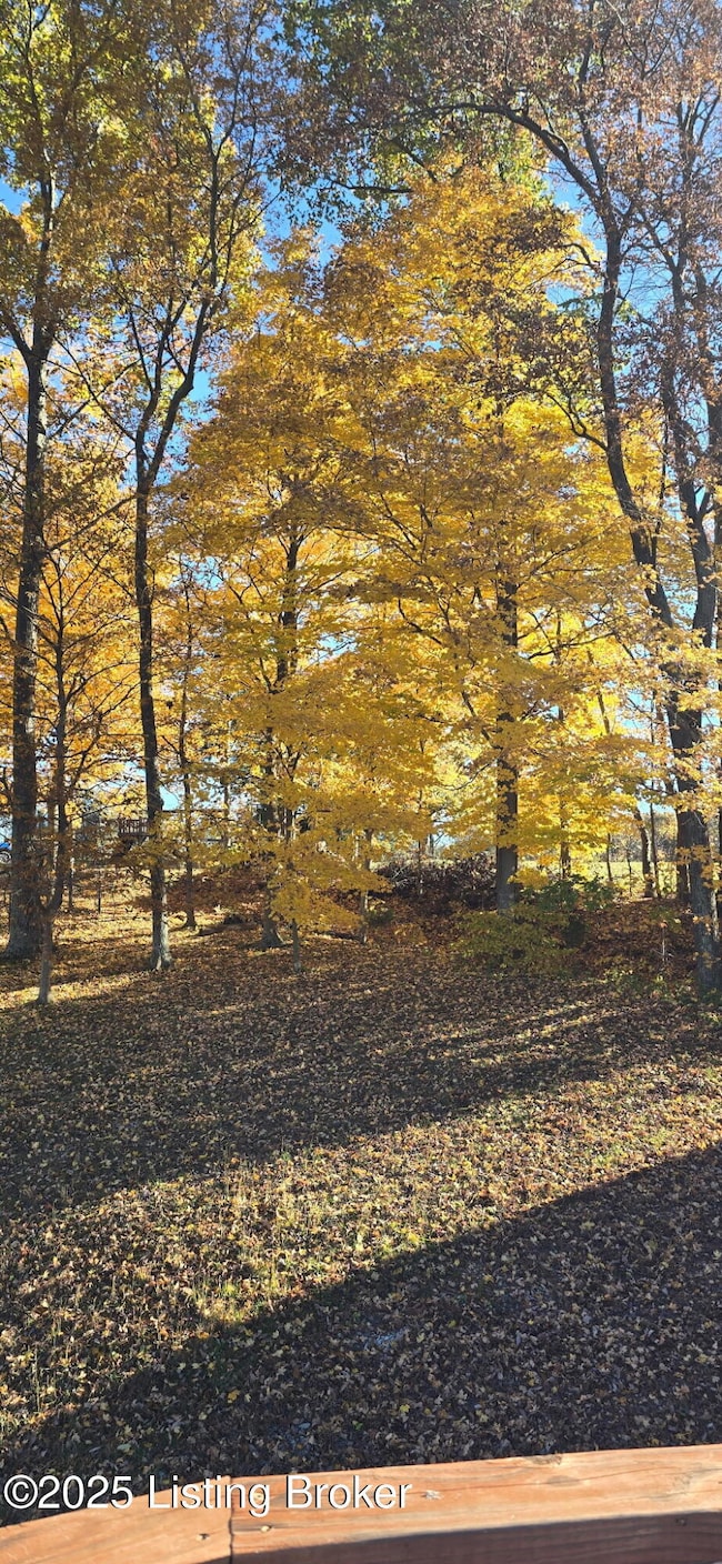 116 Lisa Dr, Brandenburg, KY 40108 - photo 7