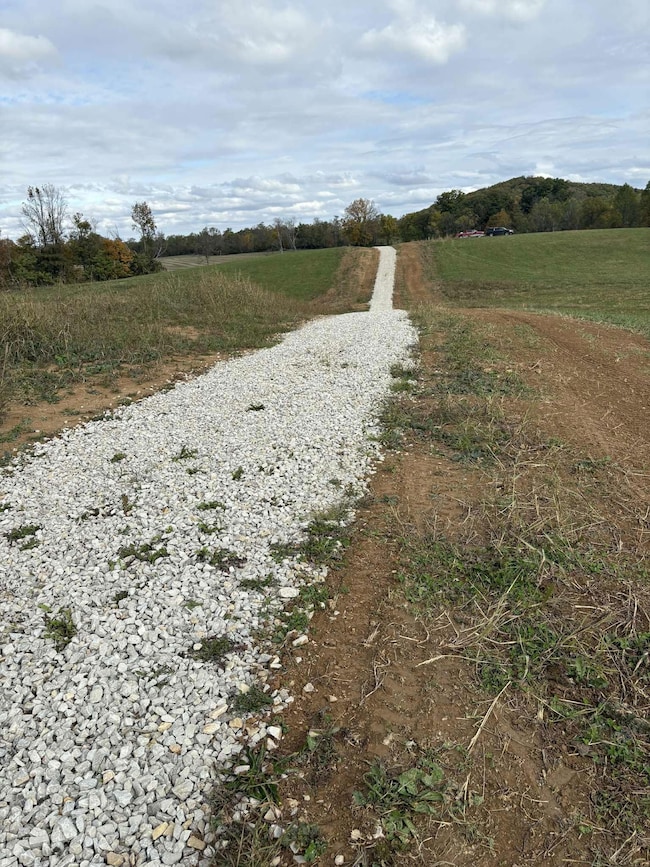 Pine Grove Ch Spur Rd, Vanceburg, KY 41179 - photo 3