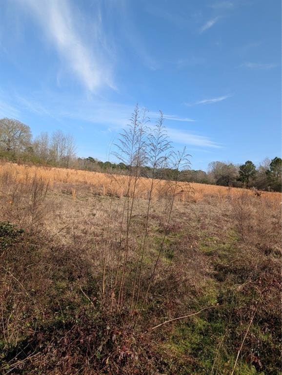 000 Mudline Rd, Eagletown, OK 74734 - photo 2