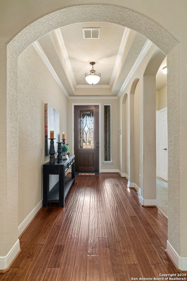 3838 Sweet Olive, San Antonio, TX 78261 - photo 3