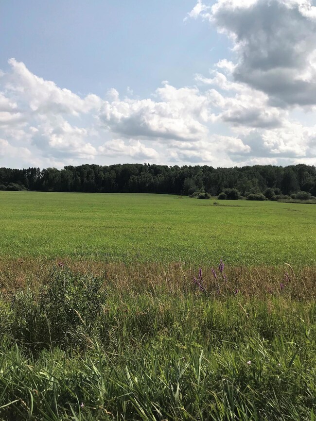 View from 5 1/4 Mile