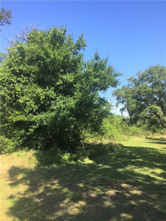 View of lot from side.