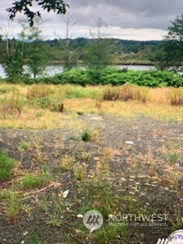 20 Monohon Landing Rd, Raymond, WA 98577 - photo 6