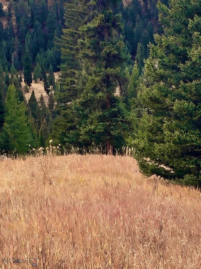 TBD Beaver Creek Rd, Big Sky, MT 59730 - photo 3