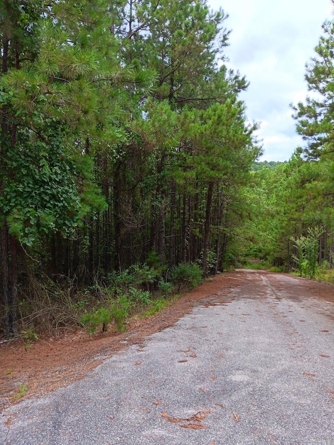 Lot 14 Thompson Cove Ln, Shirley, AR 72153 - photo 6