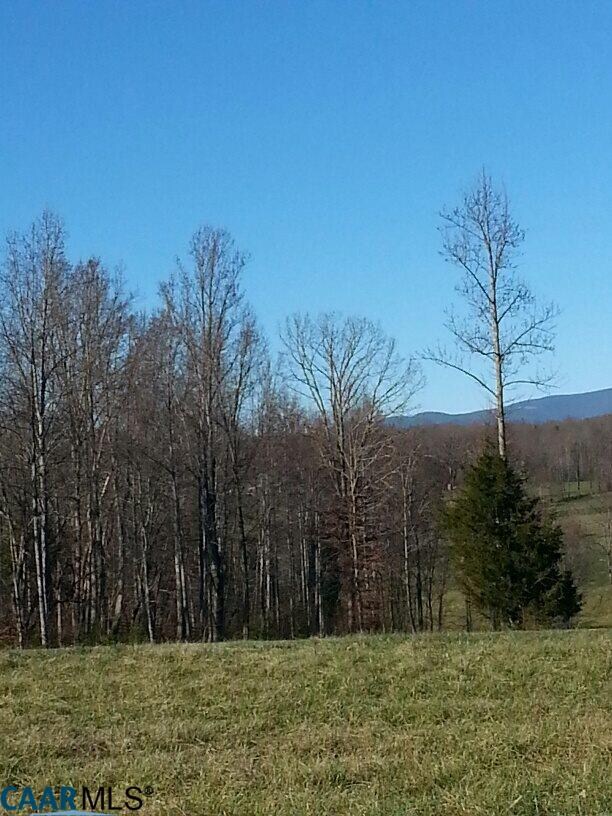 lot 5 Mossy Brook Ct, Earlysville, VA 22911 - photo 4