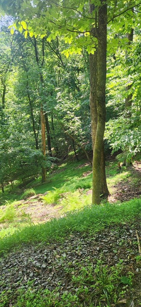 0 Mohawk Trail unit 406863, Ellijay, GA 30540 - photo 6