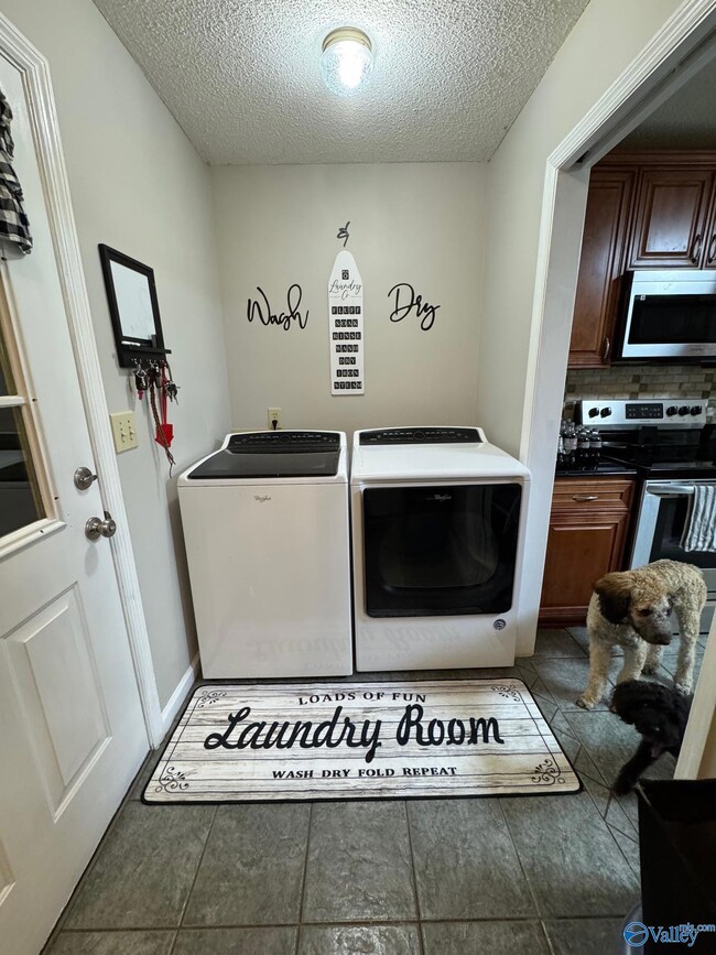 104 Beatrice Ln, Harvest, AL 35749 - photo 6