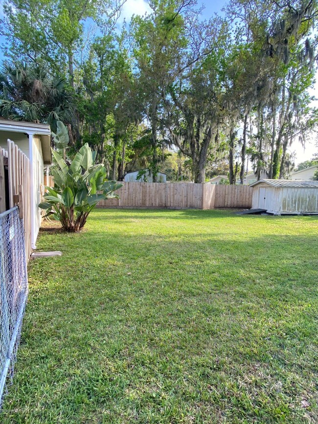 Back Yard 1