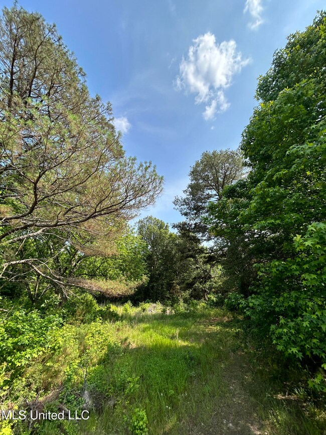 Lot 4, Highway 6 and Locke Station Road