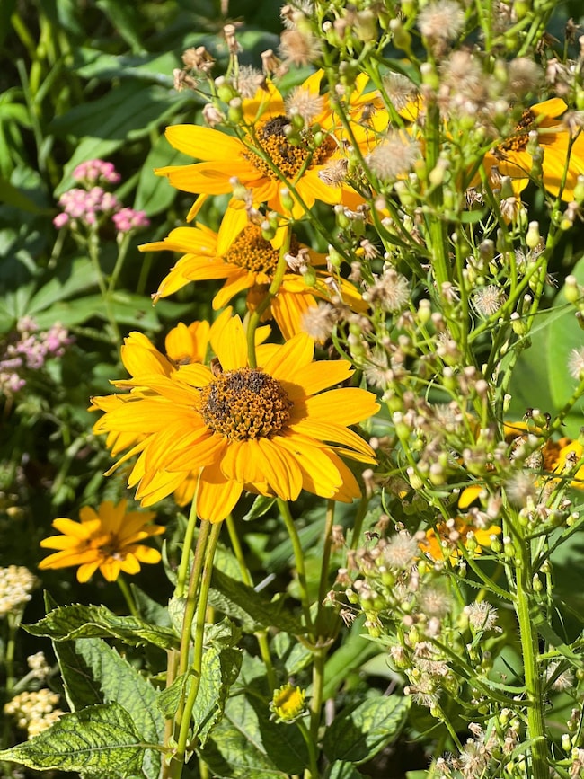 2019 Whiting Rd NW, Bemidji, MN 56601 - photo 6