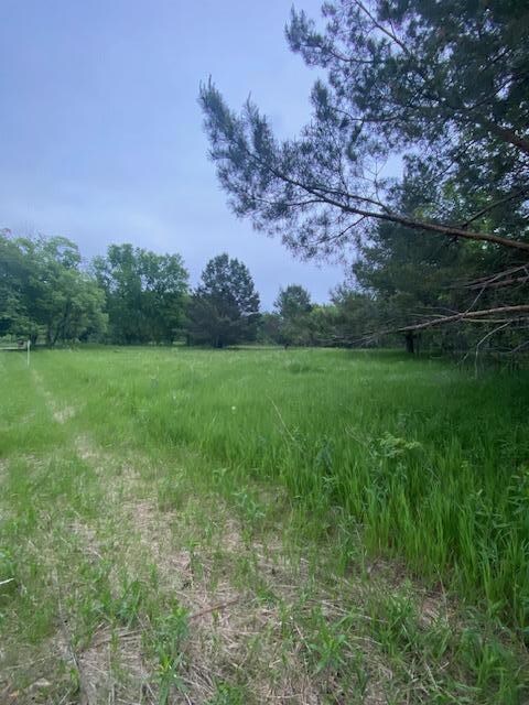 TBD W Center St, Oronoco, MN 55960 - photo 7