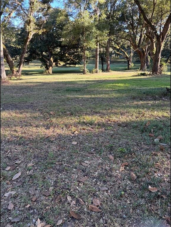 7317 Wigfield Rd, Mobile, AL 36619 - photo 2