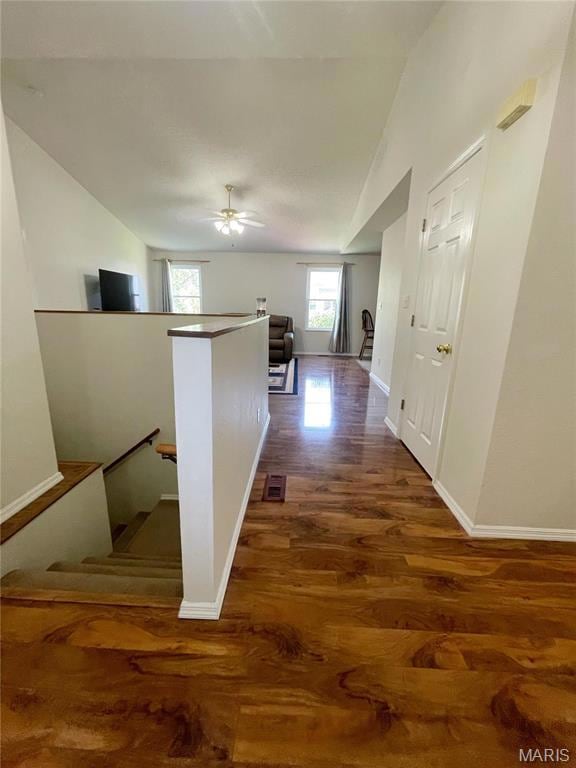 335 Moultrie Ln, O Fallon, IL 62269 - photo 6