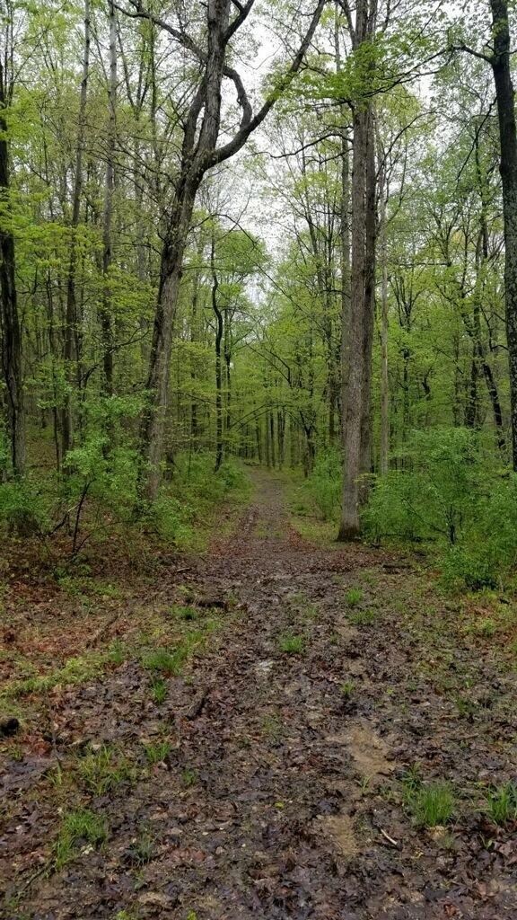 LH Voris Trails