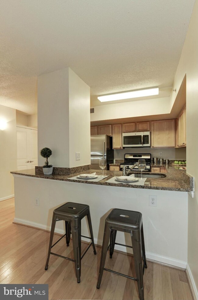 7923 Eastern Ave unit 204, Silver Spring, MD 20910 - photo 6