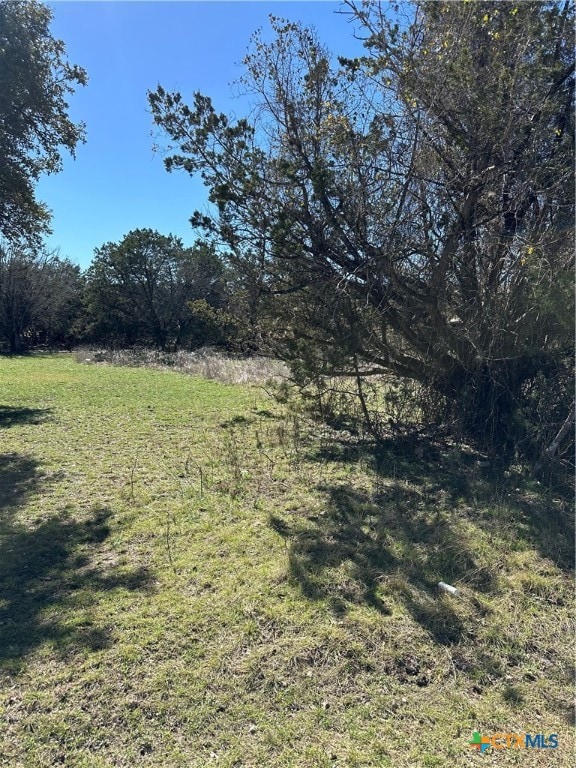 0 Deerwood Cir, Bandera, TX 78003 - photo 6