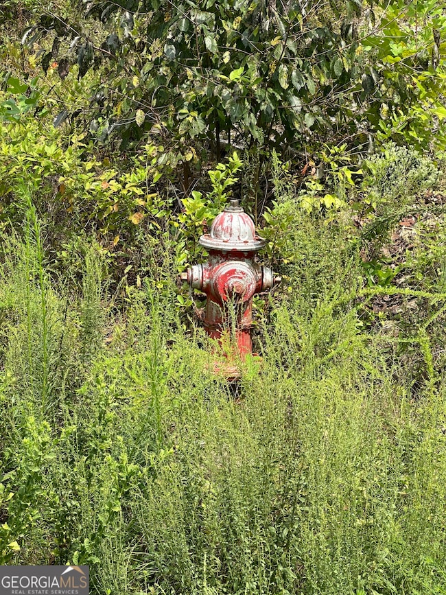 0 Wards Creek Rd unit 10587308, Toccoa, GA 30577 - photo 5