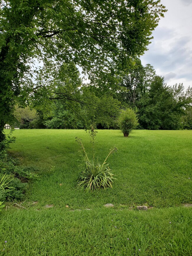 0 Highway 82 S unit RTC2545868, Shelbyville, TN 37160 - photo 2