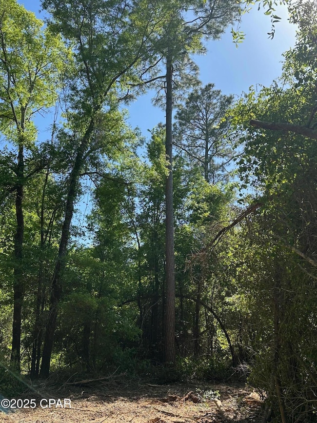 00 Marcus Dr, Greenwood, FL 32443 - photo 5