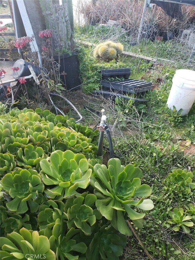 10118 Lilac Ridge Rd, Escondido, CA 92026 - photo 6