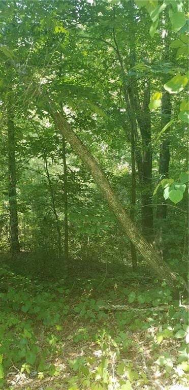 3966+8 Loring Way NW, Kennesaw, GA 30152 - photo 4