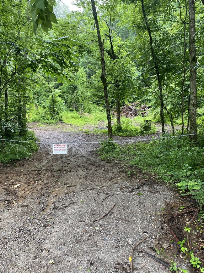 1300 Black Rd, Prospect, TN 38477 - photo 3