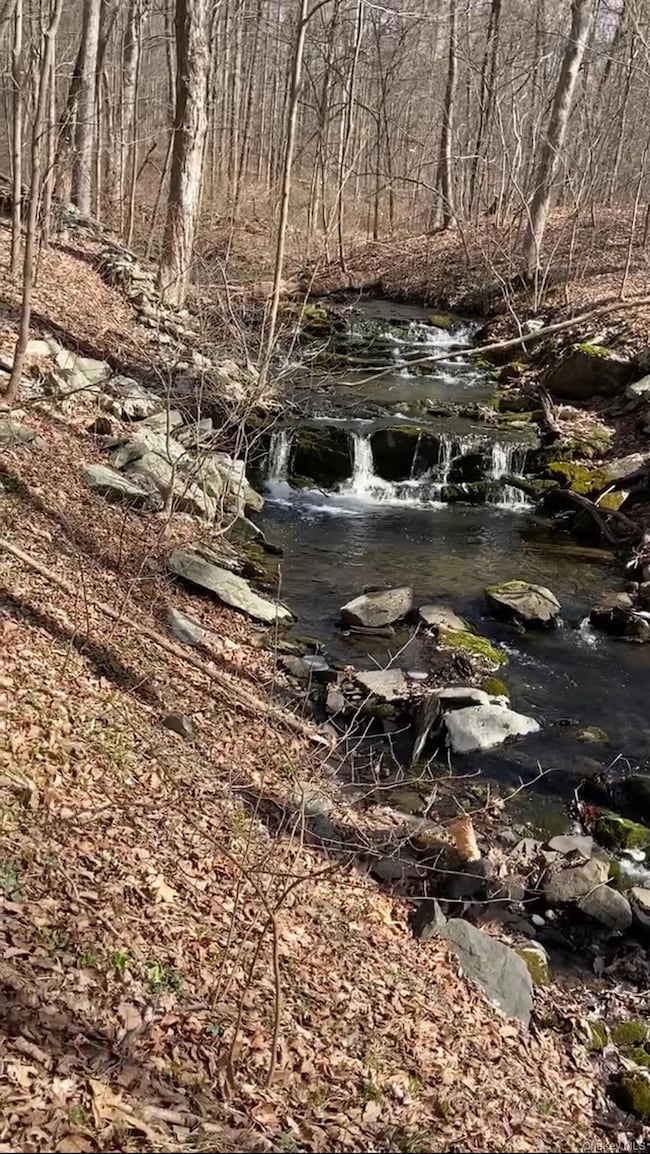 6 Thompson Dr, Staatsburg, NY 12580 - photo 7