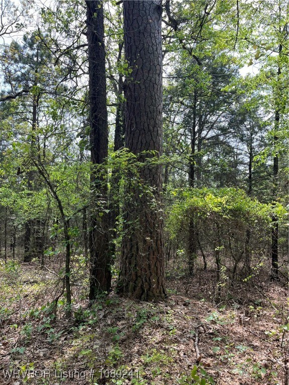 Tract 7 Station Rd, Bokoshe, OK 74930 - photo 7