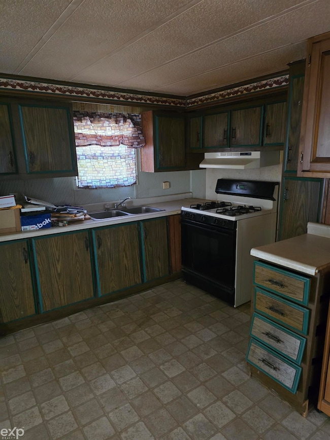 11299 Porter Ave, Bitely, MI 49309 - photo 6