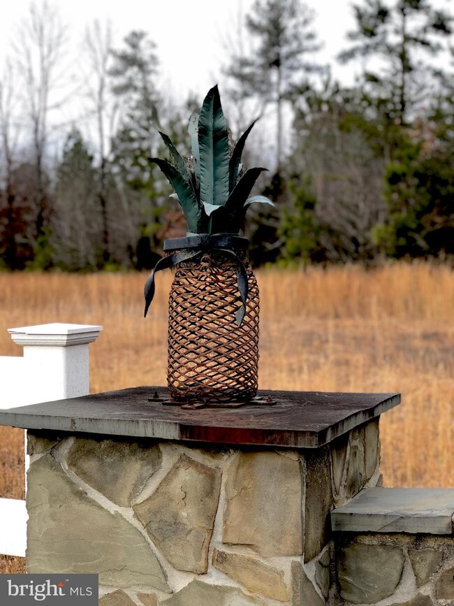 13231 Brooke Ridge Ln, Spotsylvania, VA 22551 - photo 4