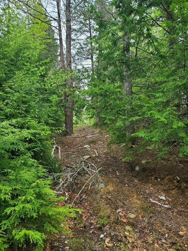 0 Blackcat Point Dr, Princeton, ME 04668 - photo 5