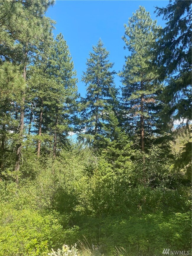 0 Wildcat Ridge Rd unit 1636795, Twisp, WA 98856 - photo 6