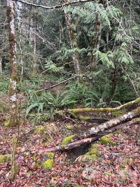 0 Harmon Rd unit NWM2211135, Adna, WA 98522 - photo 5