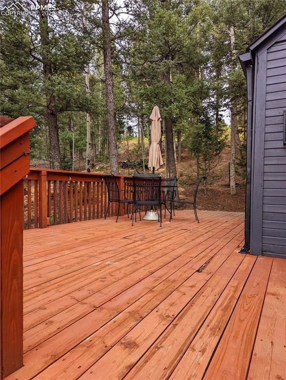 40 Flathead Ln, Woodland Park, CO 80863 - photo 4