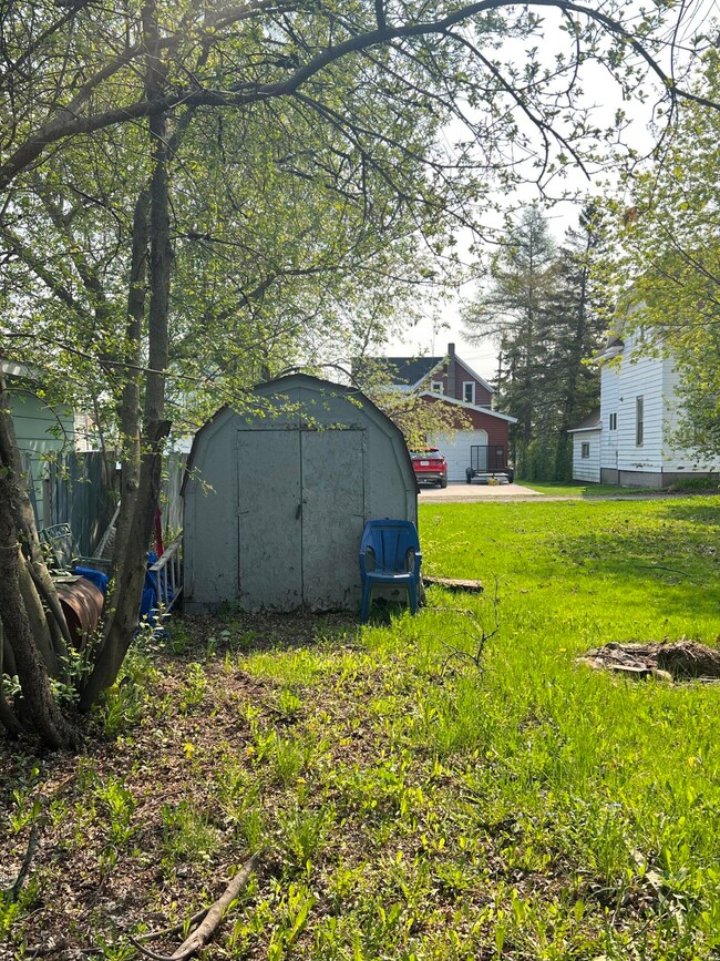 Shed/Yard