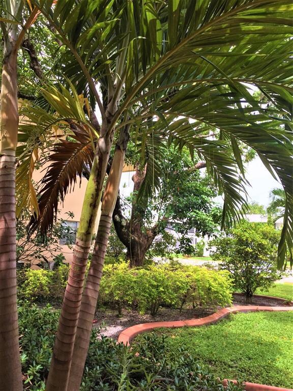 Tropical
