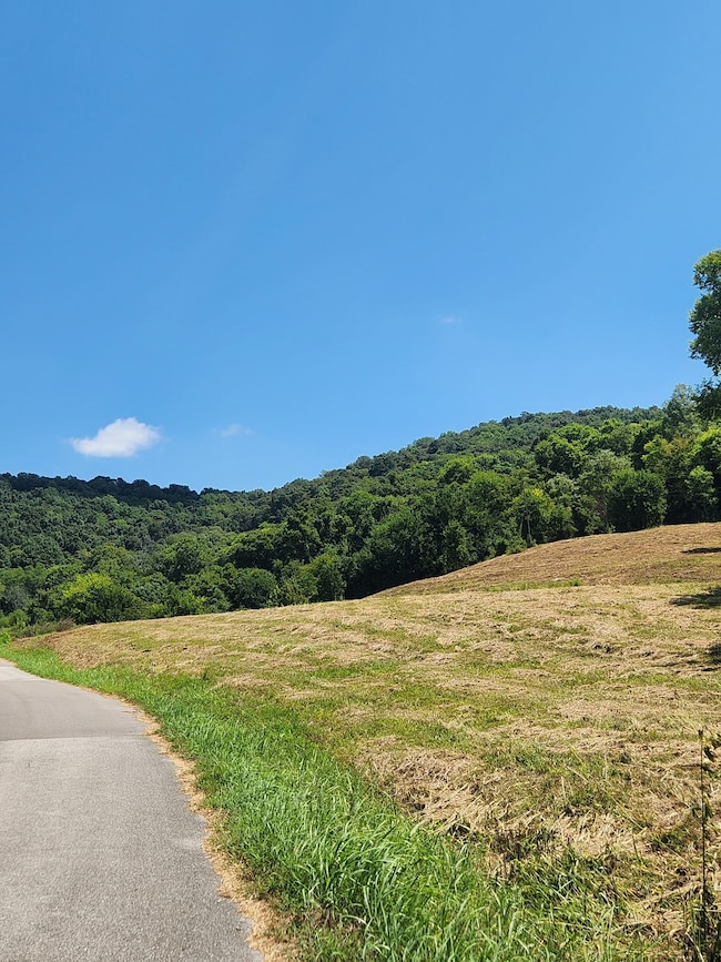 0 Hix Rd unit RTC2964419, Gordonsville, TN 38563 - photo 4