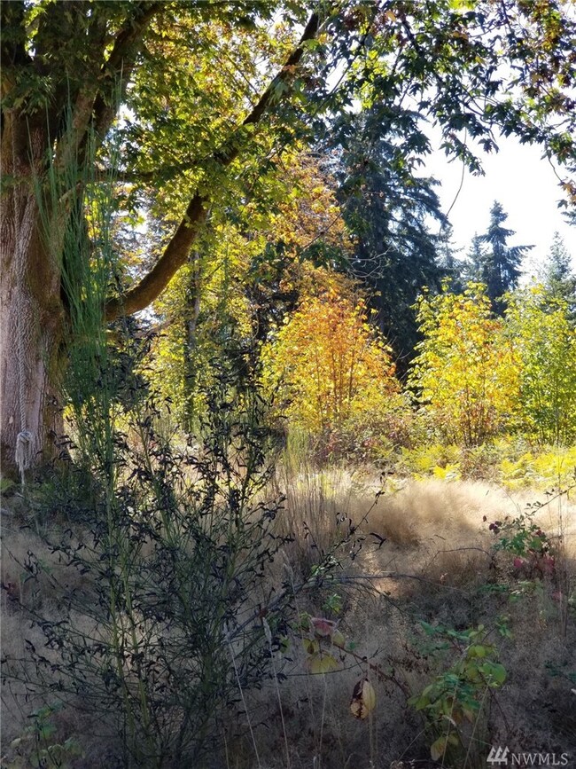 24222 110th Ave E unit A, Graham, WA 98338 - photo 2